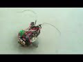 This is a Beetle Bot, a little robot that can bounce off walls. Me and my dad built it and its awsome