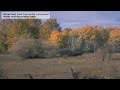 detached and hurriedly removed.mov