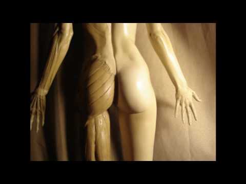 female anatomy - Perfect for reference, for use by art students, professionals and medical studies. I also have the male model and will post a video by request.
