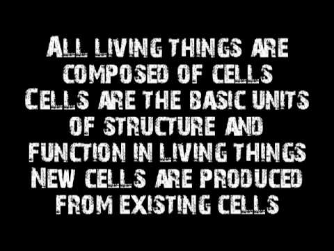 The Cell Theory Song