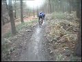 Follow The Dog section 13 Cannock Chase Follow The Dog section 13 Cannock Chase