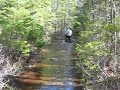 Custom Pitbike 138cc Water Crossing Custom Pitbike 138cc Water Crossing