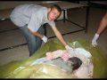 SeRDaR CaN ( DikkatLi izLeyin ) cCc Vatan cCc E.T.?.T SeRDaR CaN ( DikkatLi izLeyin ) cCc Vatan cCc E.T.?.T