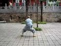 Shaolin Kung Fu - Tong Bei Quan