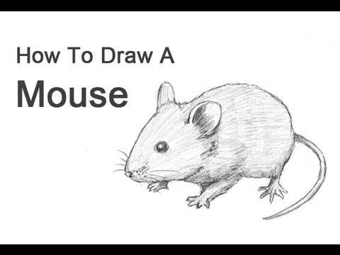 how to draw with a mouse