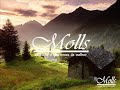 Comercial Molls 2009