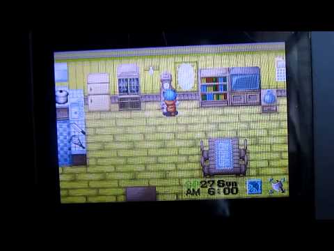 how to buy in tv shopping harvest moon