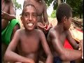 wild boards   papua new guinea