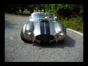 Cobra in Hamptons house Driveway.mp4