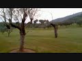 The Mallorca Donkey Derby