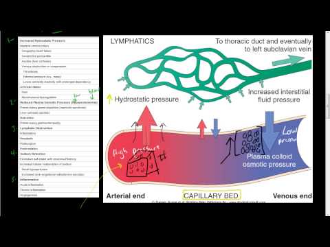 how to drain edema fluid