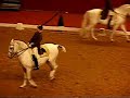 Spanish Riding School stallion performing the capriole (or whatever) under saddle.