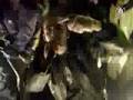 Assistir ao v�deo