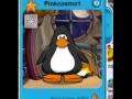 videos de Free Rare Penguin
