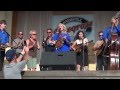 ROGERSVILLE FINALE WITH RHONDA VINCENT ...