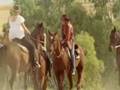 Mcleod's Jodi BACK ON DROVER RUN!! (season 8)
