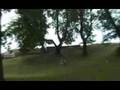 latvia parkour tribal
