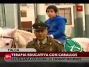 Talca: Equinoterapia para estudiantes de escasos recursos