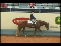 Hot Diggity Joe 2008 AQHA World Show SR HUS...5th Place