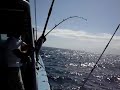 Gerald Deep Sea Fishing