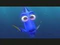 finding nemo - short term memory loss finding nemo - short term memory loss
