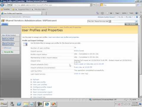Trabajando con Perfiles de Usuario en SharePoint 2007
