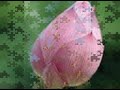 Tung Kinh Sam Hoi Luc Can Thay Hai Tb.mpg