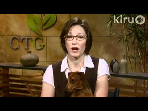 how to prune a peach tree