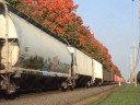 New York & Atlantic Railway RS41 under fall colors at Pinelawn