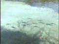 How to Fish a New Lake