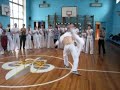 seminar capoeira