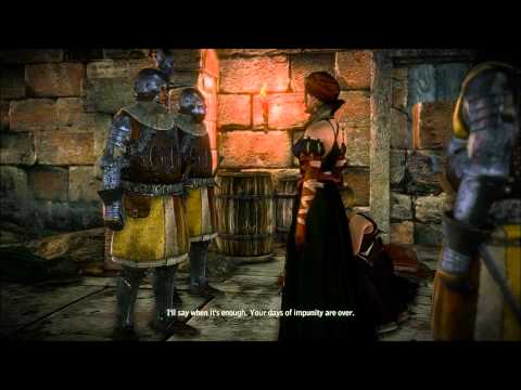 The Witcher 2 : Assassins of Kings