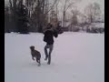 dog eats camera!! dog eats camera!!