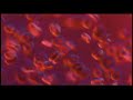 Lipid Vesicle ref 2 Lipid Vesicle ref 2