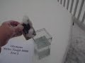 Stylus Tough 8000.AVI