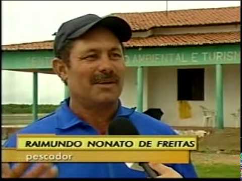 Imagem de Amostra do You Tube