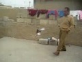 koter