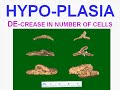 Medical School Pathology, Chapter 1b Medical School Pathology, Chapter 1b