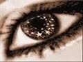the best electro house techno minimal summer estate  2008