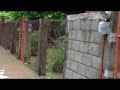 limón inundado iii