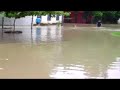 limón inundado iii