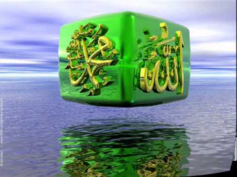 IDRISIA - 