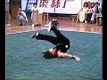 Advanced Nanquan by Yang Shi Wen Advanced Nanquan by Yang Shi Wen
