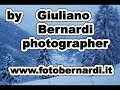 Neve fresca a Pejo ! Fresh snow in Pejo !
