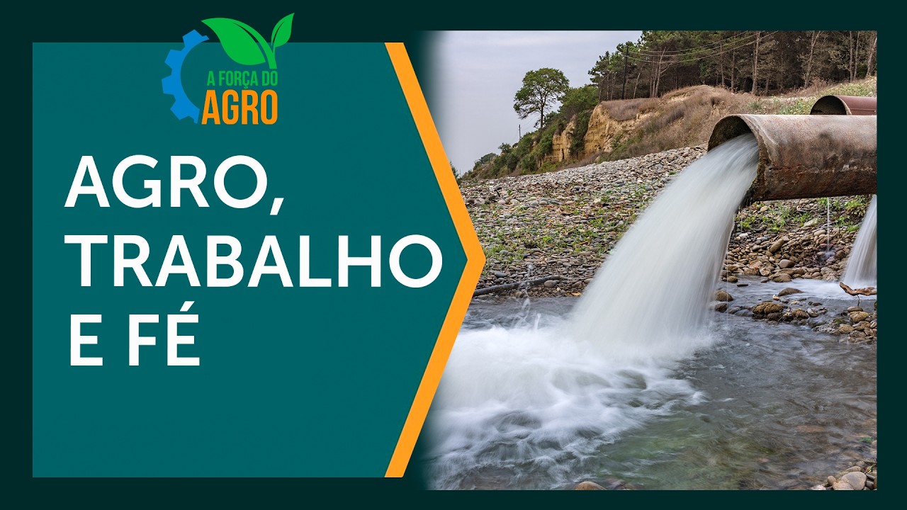 Por que o Brasil desperdiça água enquanto o Egito verdeja o deserto para o agro?