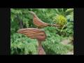 gallery_0001.wmv
