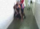 CMS - Morte do Pollas CMS - Morte do Pollas