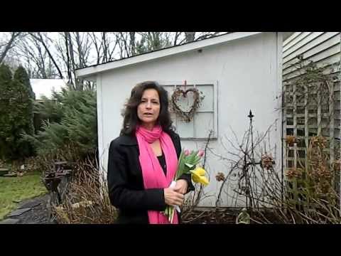 video-linktoworks-How to Decorate a Winter Window Box