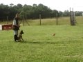 CLIP0049.AVI