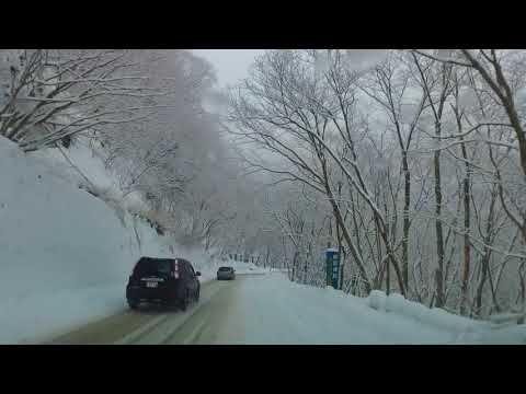 ��i�F�̂���͍� �ԍړ���@���������������r�R�_�В��{�K�܂�